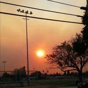 Meet your Posher, Ann